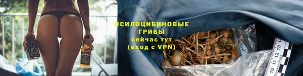 бутират Белокуриха