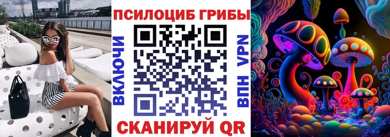 Псилоцибиновые грибы Cubensis  как найти закладки  KRAKEN ссылки  Чудово 